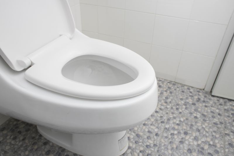 Basement Toilet Installation in Denver, CO