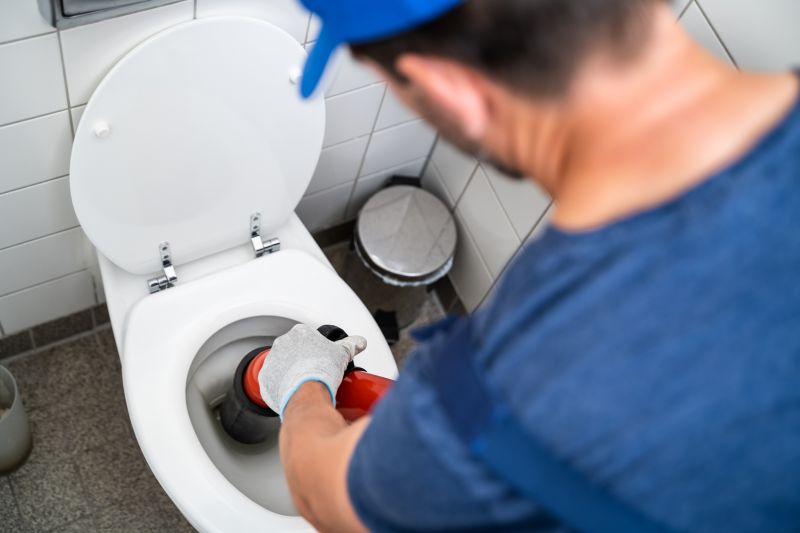 Toilet Plunging in Denver, CO